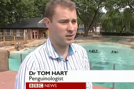 Get more concise insights on penguins with Dr. Tom Hart